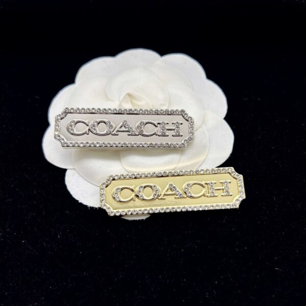 coach brooch 481001275011