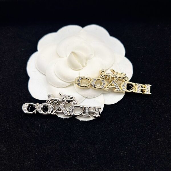 coach brooch 551001284055