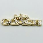 coach brooch 551001284055 - Image 2